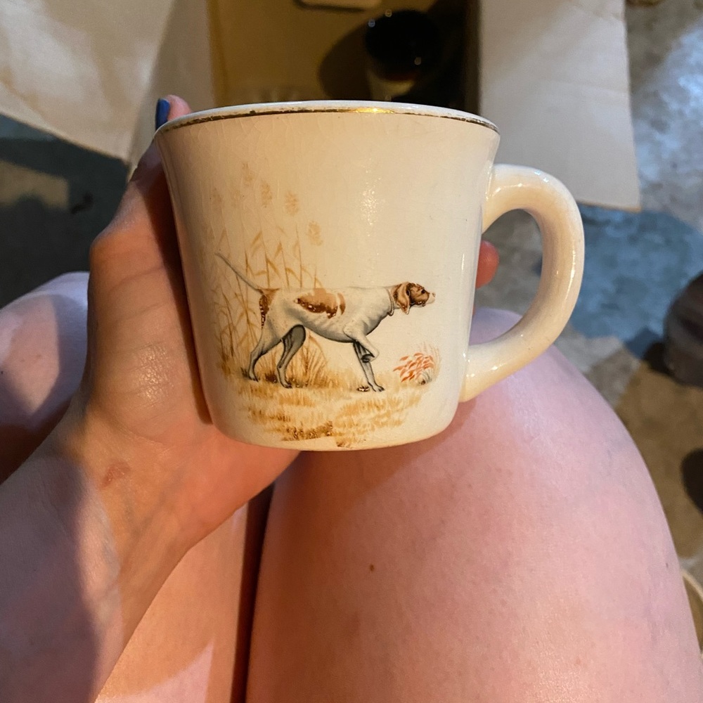 Vintage Bird Dog mug